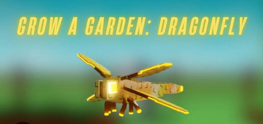 Dragon flies